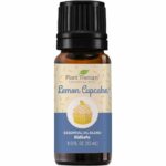 Lemon Cupcake Blend 10ml Front 960x960