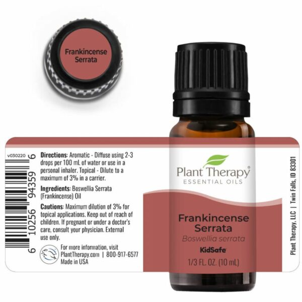 Frankincense Serrata Eo 10ml Stretch Top 2 960x960