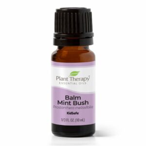 Balm mint bush eo 10ml 01 (2) 960x960