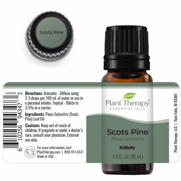 Scots Pine Eo 10ml Stretch Top 2 960x960