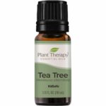 Tea Tree Eo 10ml Front 2 960x960