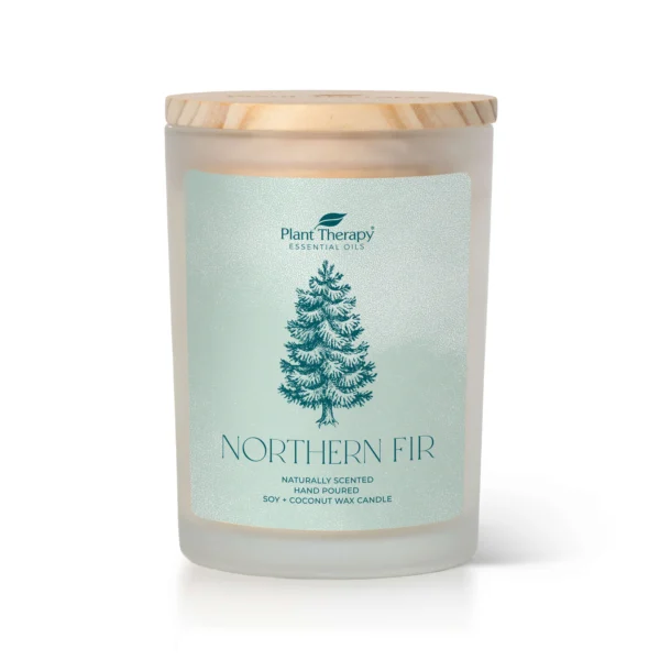 Northern Fir Candle 01