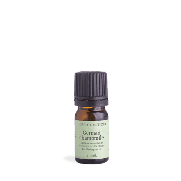 Chamomile German 5ml Pureessentialoil 1600x